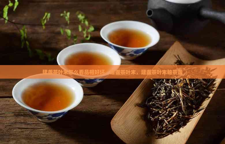 建盏茶叶末怎么看品相