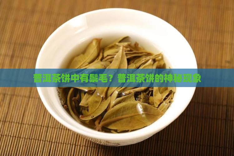 普洱茶饼里面有鬃毛