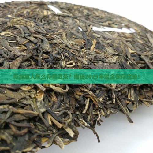 新加坡如何保存普洱茶