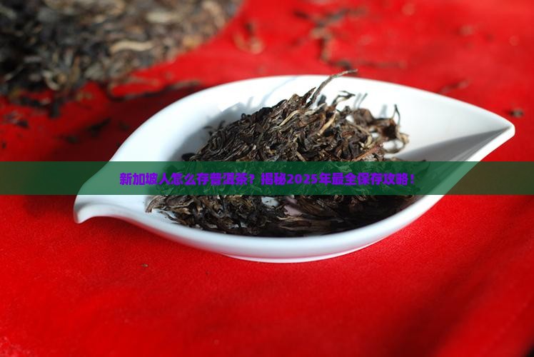 新加坡如何保存普洱茶
