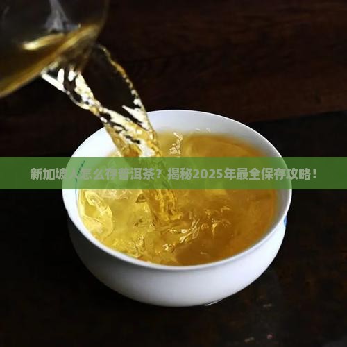 新加坡如何保存普洱茶