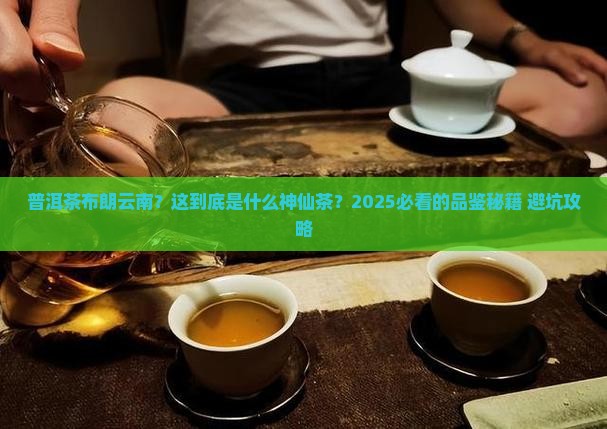 普洱茶布朗云南