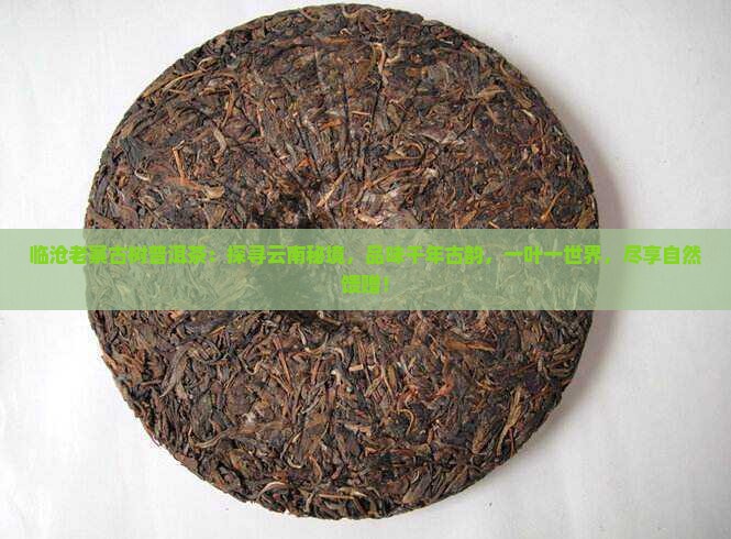 临沧老寨古树普洱茶