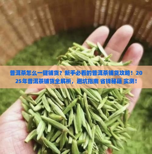 普洱茶怎么一键铺货