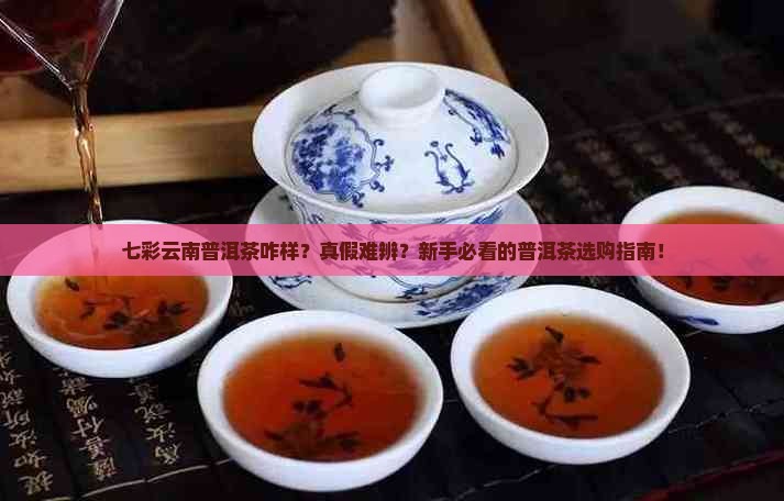 七彩云南普洱茶咋样