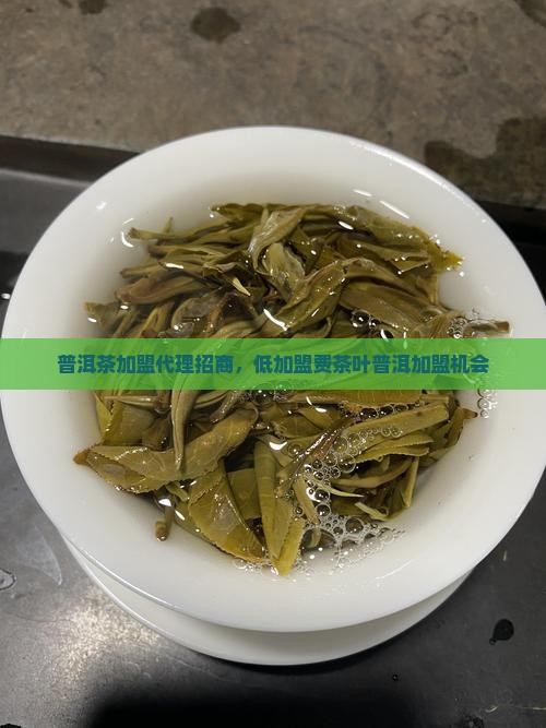 绍兴普洱茶代理招商加盟