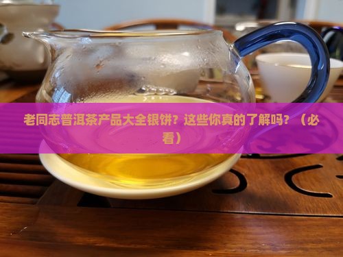 老同志普洱茶产品大全银饼