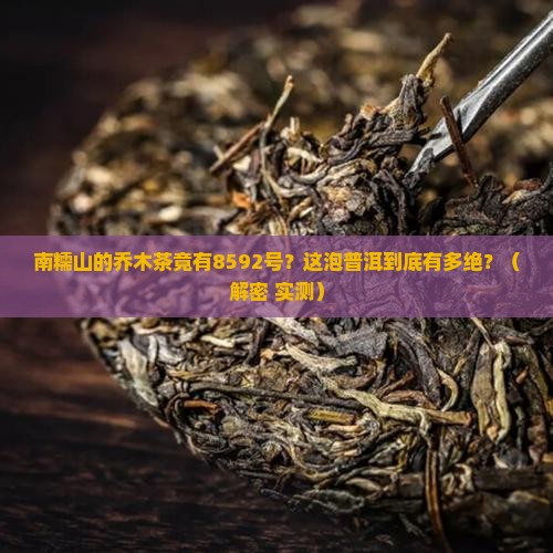 南糯乔木8592普洱茶