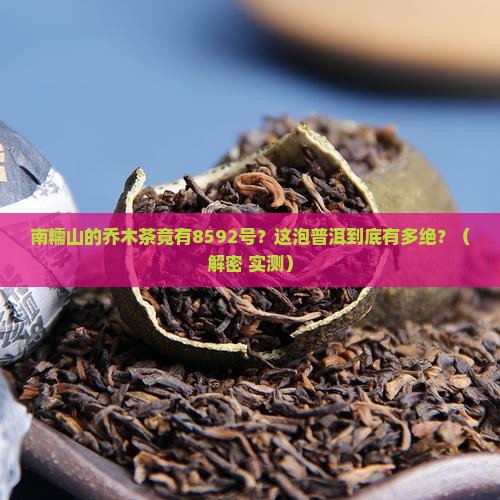 南糯乔木8592普洱茶