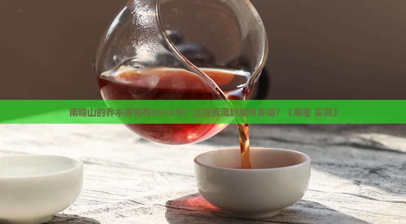 南糯乔木8592普洱茶