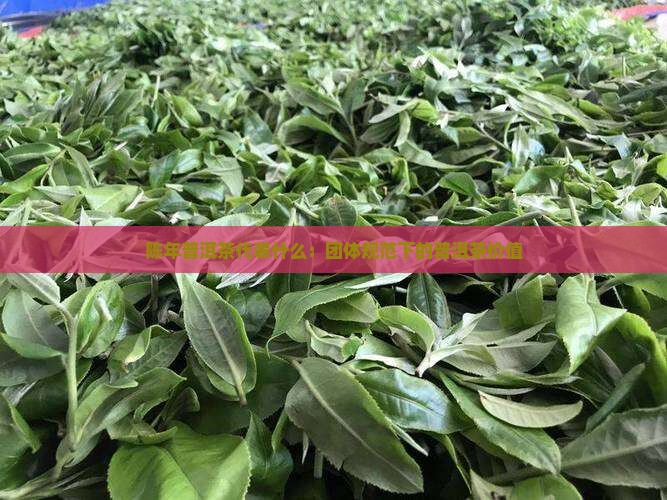 陈年普洱茶是代表什么