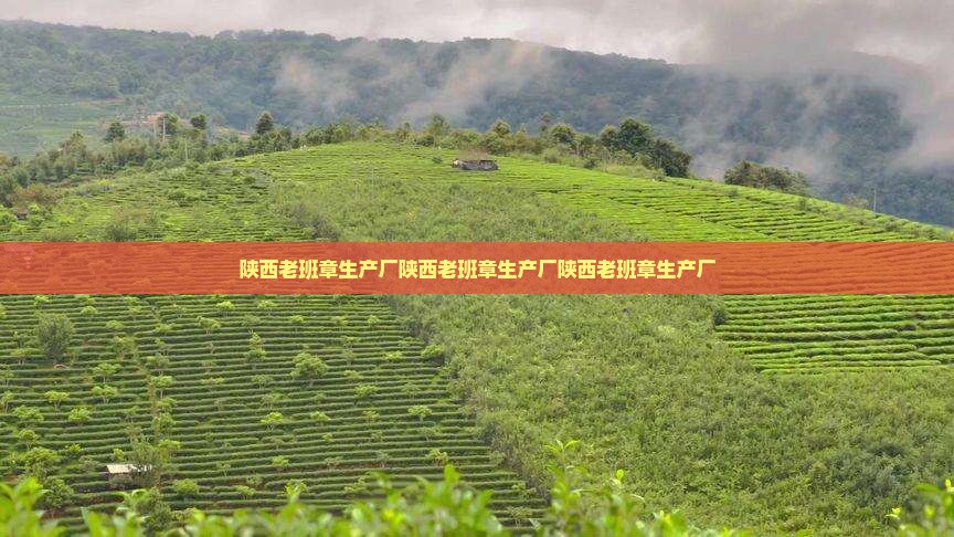 陕西老班章生产厂