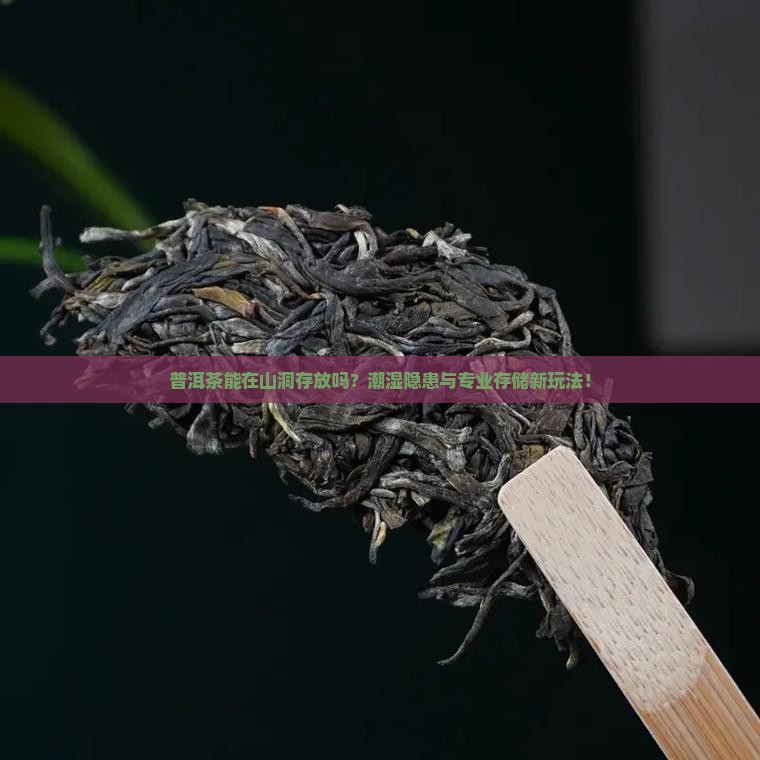 普洱茶能在山洞存放吗
