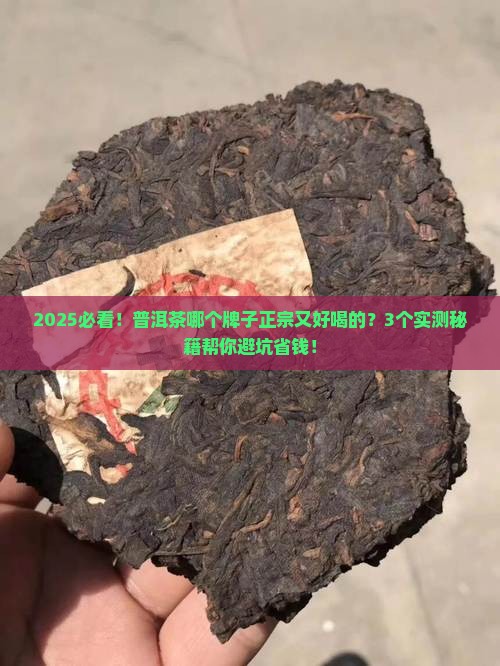 普洱茶哪个牌子正宗又好喝的