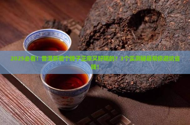 普洱茶哪个牌子正宗又好喝的