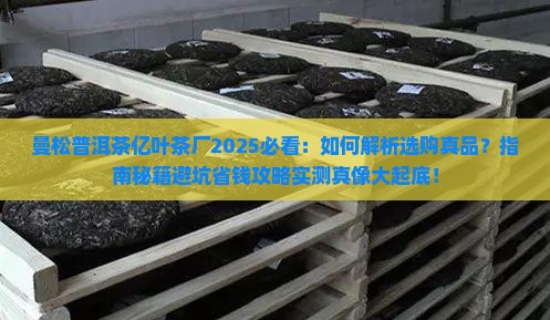 曼松普洱茶亿叶茶厂