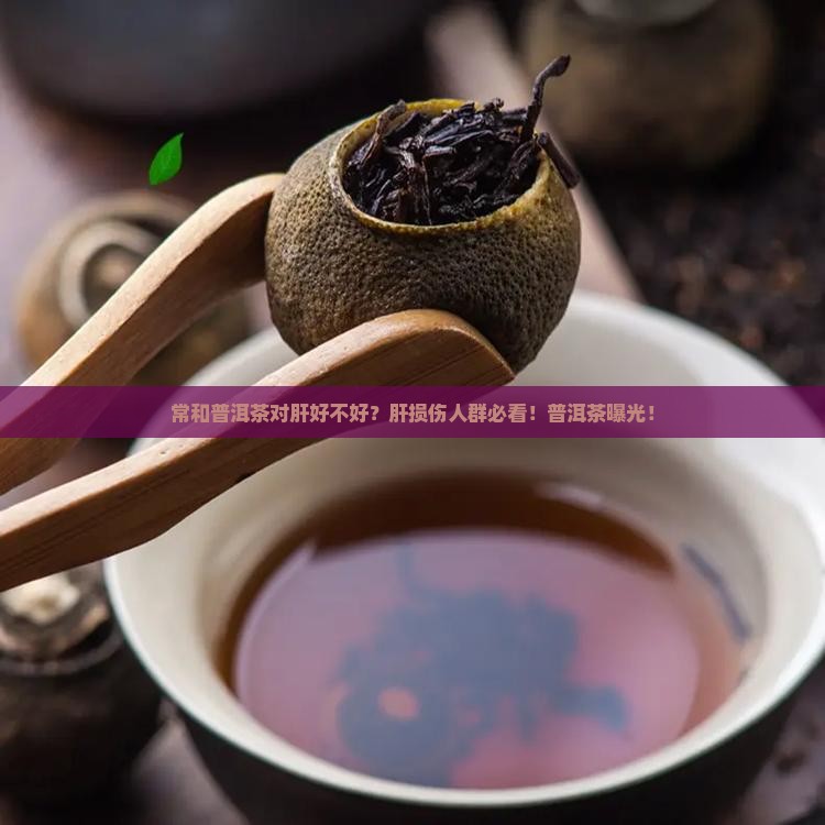 常和普洱茶对肝好不好