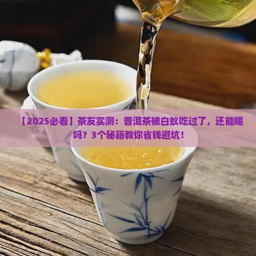 普洱茶被白蚁吃过了