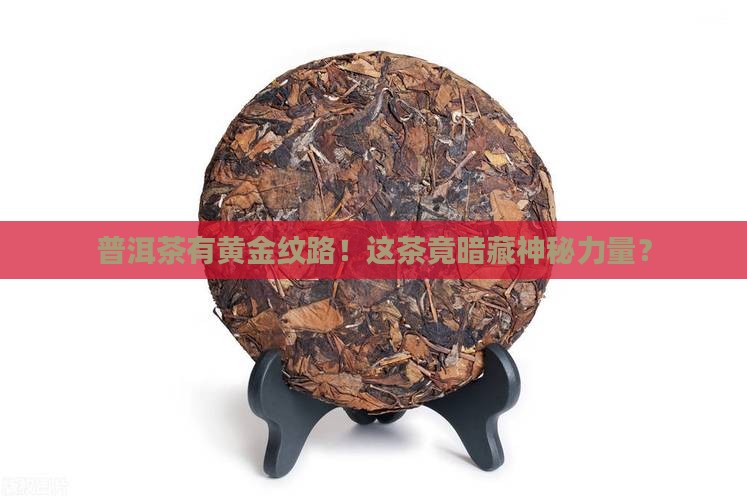 普洱茶有黄金纹路