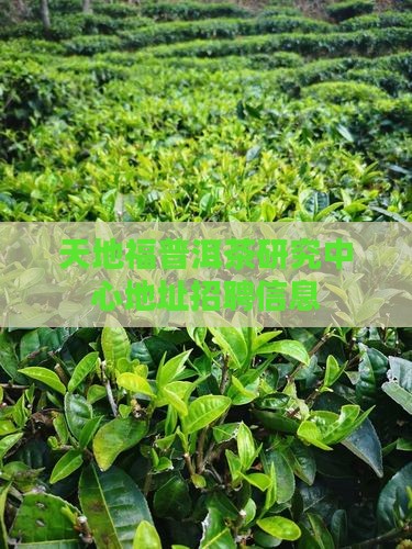 天地福普洱茶研究中心