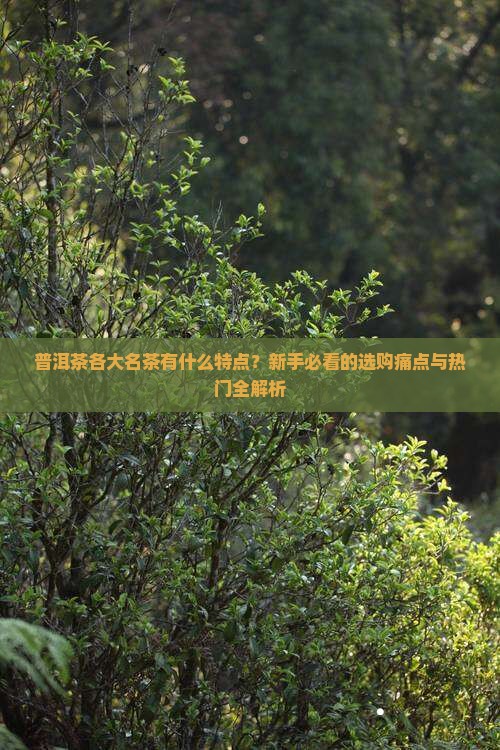 普洱茶各大名茶的特点特点