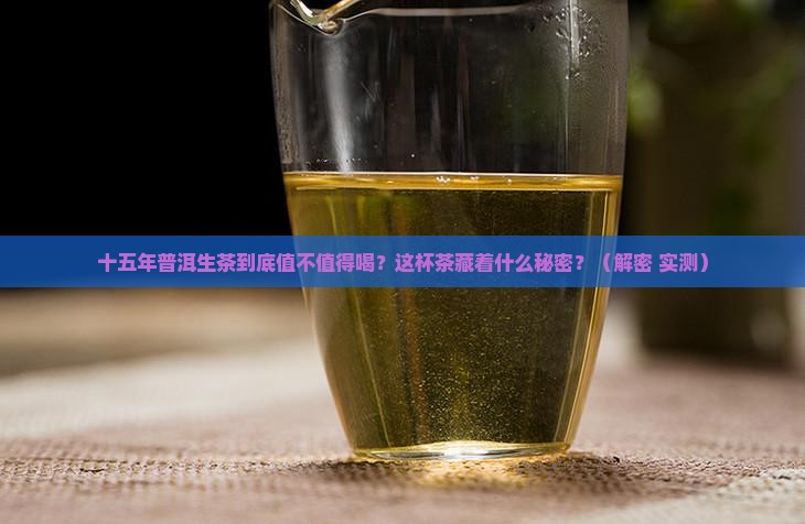 十五年普洱茶生茶