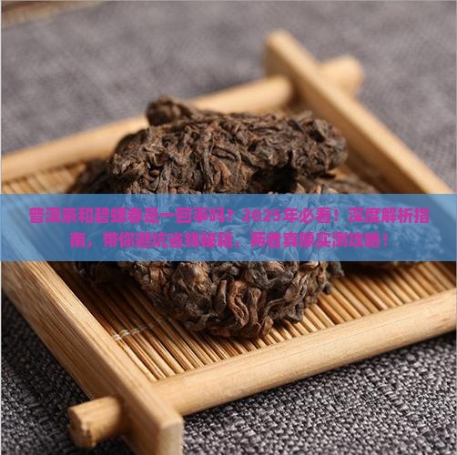 普洱茶是碧螺春吗