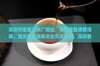 深圳市宝普洱茶