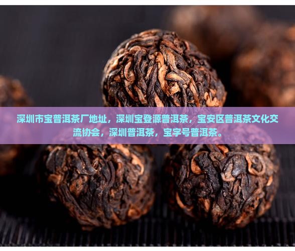 深圳市宝普洱茶