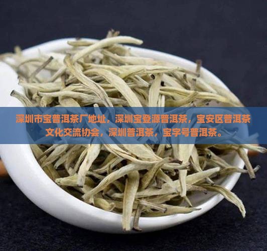 深圳市宝普洱茶