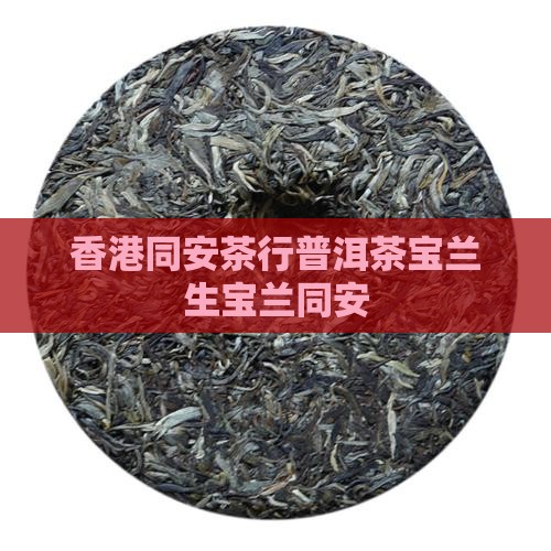 香港同安茶行普洱茶宝兰生