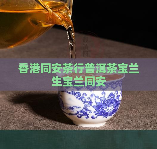 香港同安茶行普洱茶宝兰生