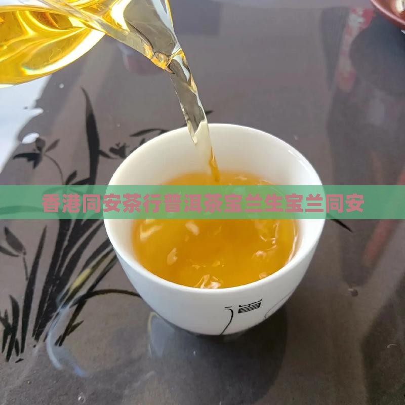 香港同安茶行普洱茶宝兰生