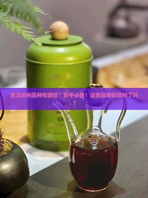 普洱茶树品种有哪些