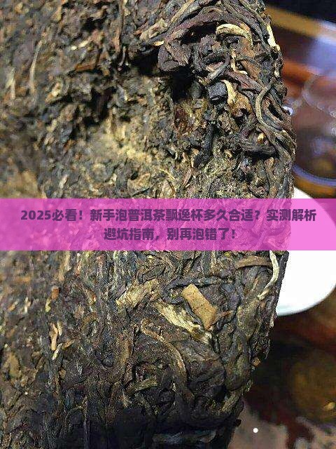 飘逸杯普洱茶泡多久