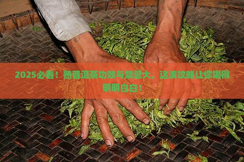 熟普洱茶的功效和禁忌
