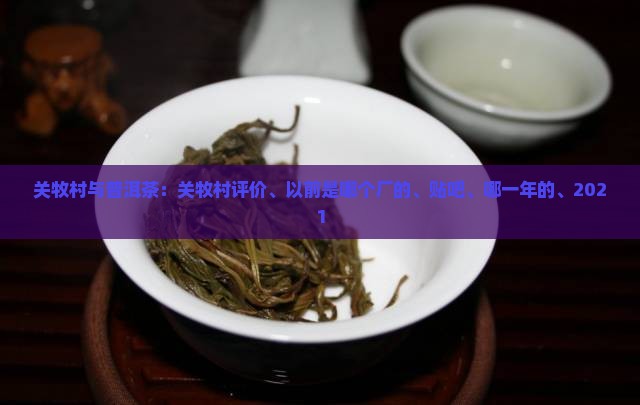 关牧村与普洱茶