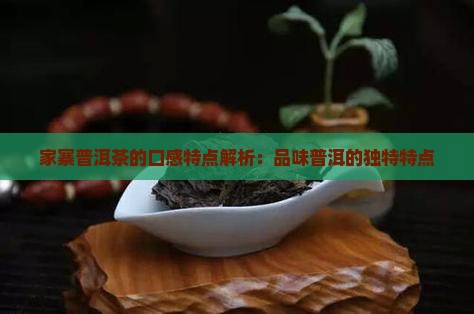 丁家寨普洱茶的口感特点解析