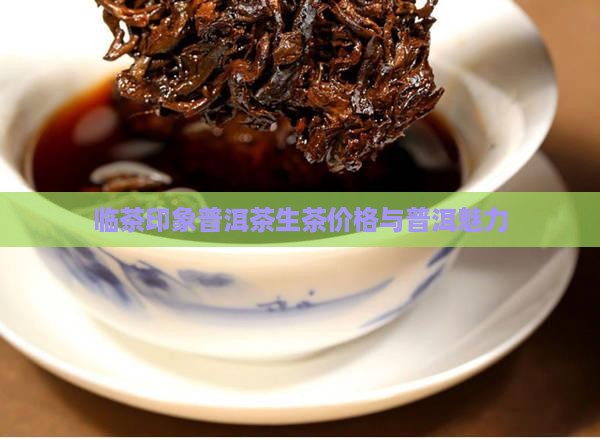临茶印象普洱茶生茶 临茶印象普洱茶生茶