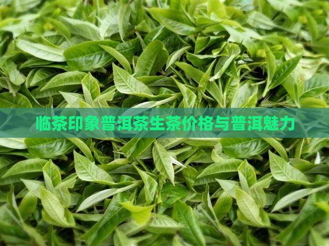 临茶印象普洱茶生茶 临茶印象普洱茶生茶