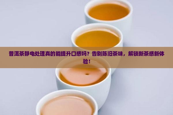 普洱茶静电处理