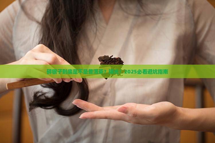 碎银子去普洱茶