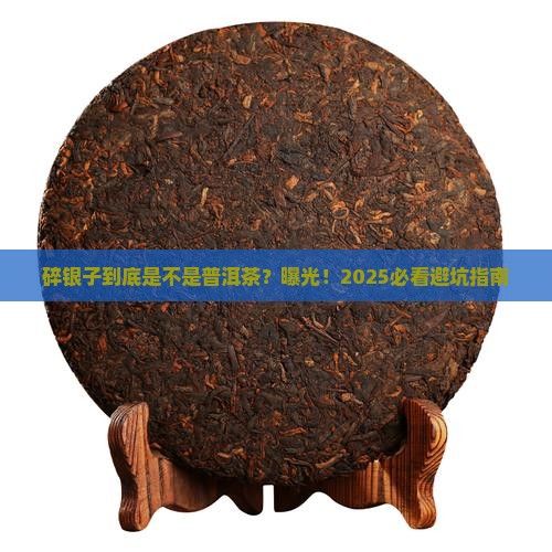 碎银子去普洱茶