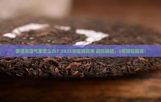 普洱茶湿气重怎么保存