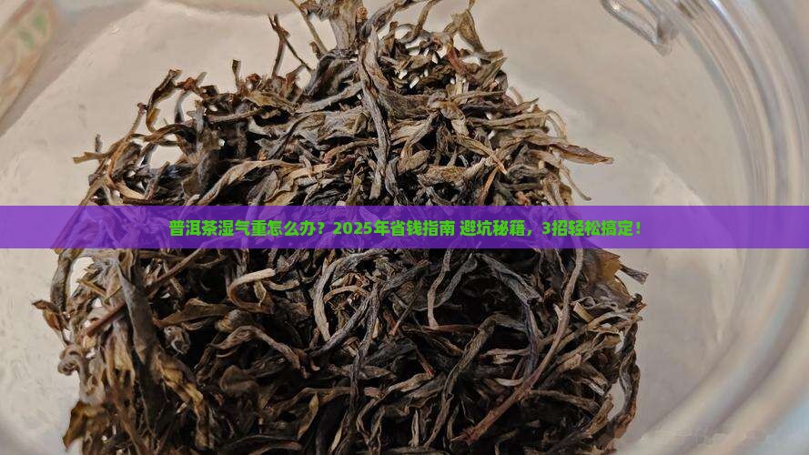 普洱茶湿气重怎么保存