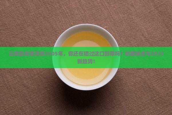 云南勐海普洱茶2005年