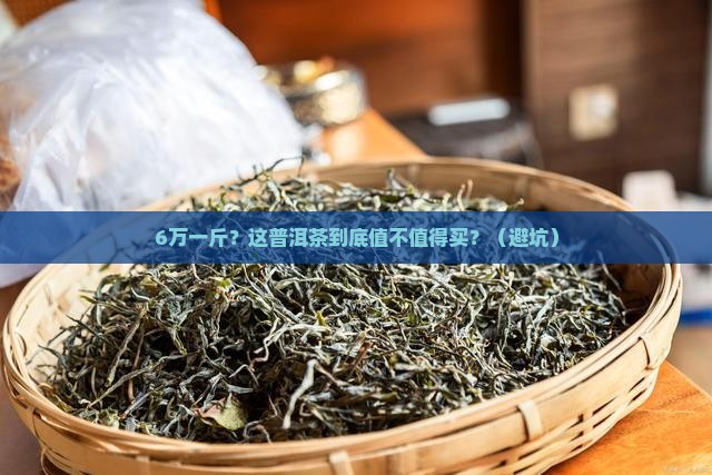 6万元一斤的普洱茶