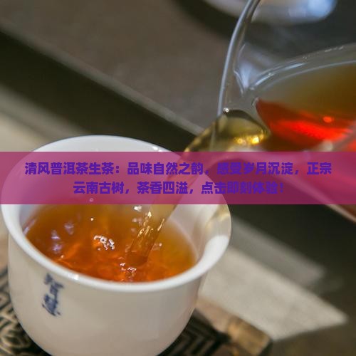 清风普洱茶生茶