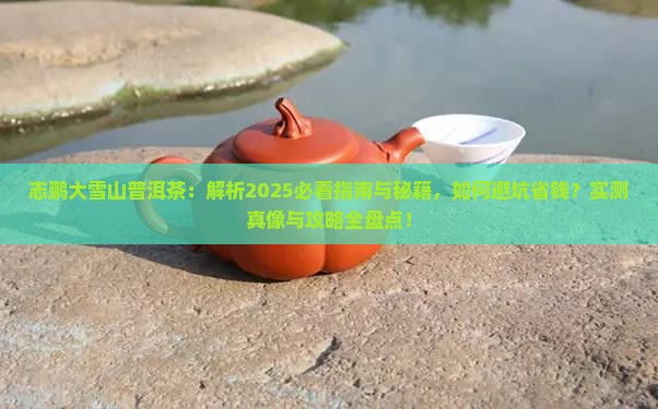 志鹏大雪山普洱茶