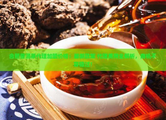合肥普洱茶代理加盟价格